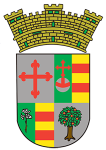 Crowned heraldic shield coat of arms divided into four quarters with various symbols and yellow red striped sections